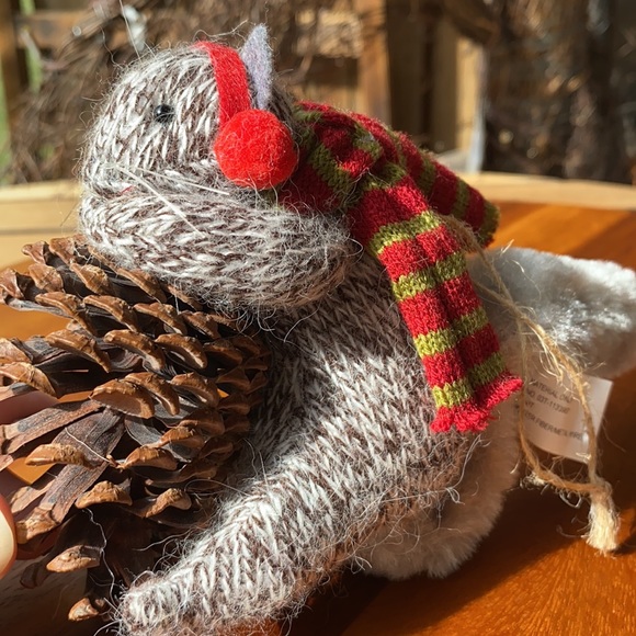 Pottery Barn Knitted Holiday Squirrel Holding a Real Pinecone Ornament🐿 - Picture 2 of 11
